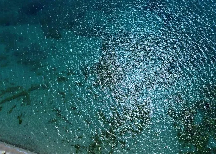 ваканционен *